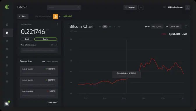 Illustration of the desktop wallet and Bitcoin chart